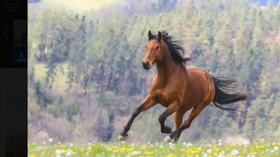 MalenitzStatek Stranoviceアパートメント エクステリア 写真